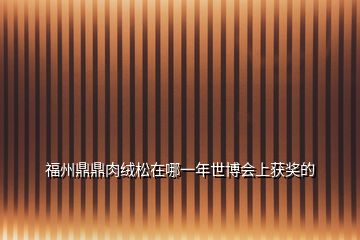 福州鼎鼎肉絨松在哪一年世博會上獲獎的