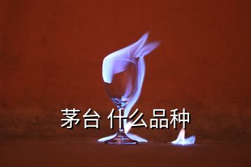 茅臺(tái) 什么品種