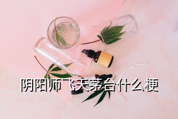 陰陽師飛天茅臺什么梗