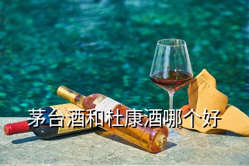 茅臺(tái)酒和杜康酒哪個(gè)好