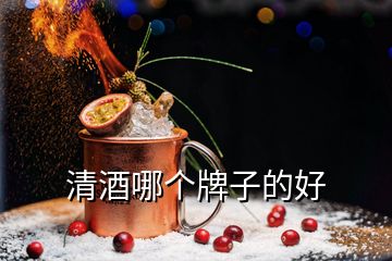 清酒哪個(gè)牌子的好