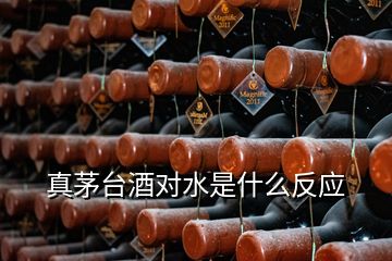 真茅臺(tái)酒對水是什么反應(yīng)