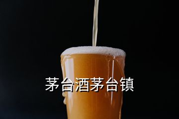 茅臺酒茅臺鎮(zhèn)