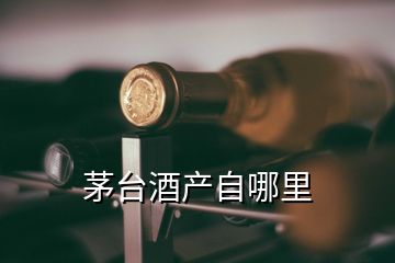 茅臺酒產(chǎn)自哪里