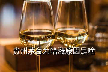 貴州茅臺(tái)為啥漲原因是啥