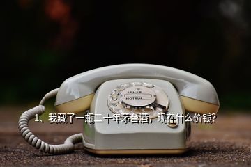 1、我藏了一瓶二十年茅臺酒，現(xiàn)在什么價錢？