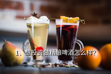 1、想投資做精釀啤酒怎么樣？