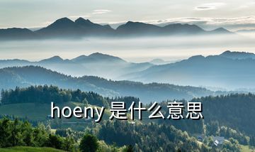 hoeny 是什么意思