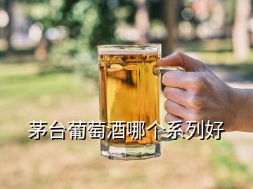 茅臺葡萄酒哪個系列好