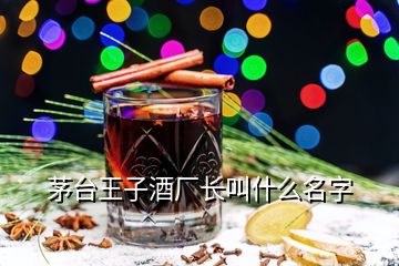 茅臺(tái)王子酒廠長(zhǎng)叫什么名字