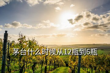 茅臺什么時候從12瓶到6瓶