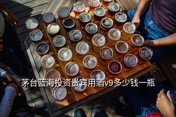 茅臺(tái)藍(lán)海投資貴賓用酒v9多少錢(qián)一瓶