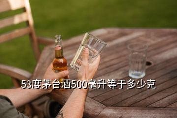 53度茅臺酒500毫升等于多少克