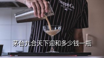 茅臺九合天下迎和多少錢一瓶