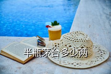 半瓶茅臺(tái)多少兩