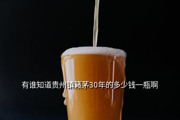 有誰知道貴州鎮(zhèn)籟茅30年的多少錢一瓶啊