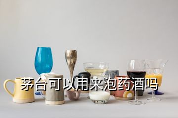 茅臺(tái)可以用來(lái)泡藥酒嗎