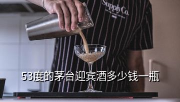 53度的茅臺(tái)迎賓酒多少錢(qián)一瓶