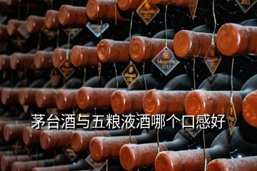 茅臺(tái)酒與五糧液酒哪個(gè)口感好