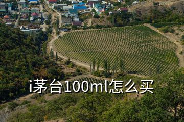 i茅臺(tái)100ml怎么買