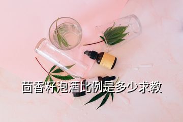 茴香籽泡酒比例是多少求教