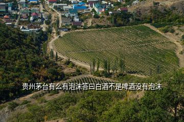 貴州茅臺(tái)有么有泡沫答曰白酒不是啤酒沒有泡沫