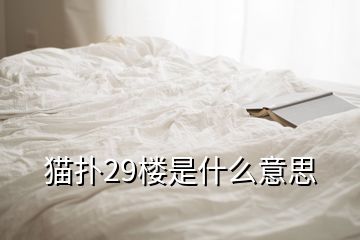 貓撲29樓是什么意思