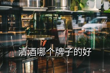 清酒哪個(gè)牌子的好