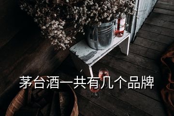 茅臺(tái)酒一共有幾個(gè)品牌