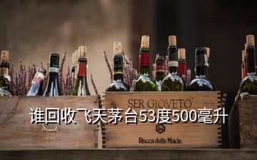 誰(shuí)回收飛天茅臺(tái)53度500毫升