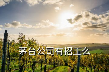 茅臺公司有招工么