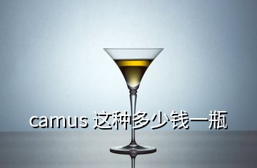 camus 這種多少錢(qián)一瓶