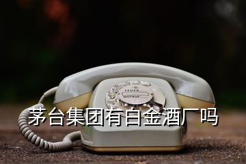 茅臺集團有白金酒廠嗎