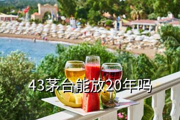 43茅臺(tái)能放20年嗎