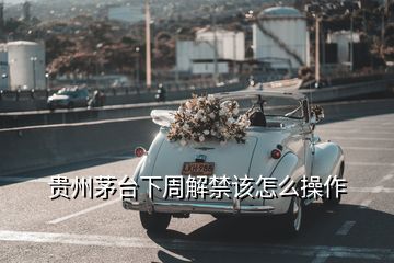 貴州茅臺(tái)下周解禁該怎么操作