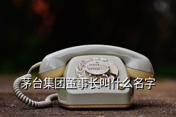 茅臺集團董事長叫什么名字