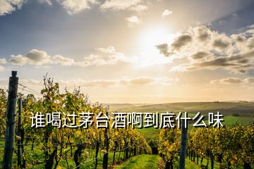 誰喝過茅臺(tái)酒啊到底什么味