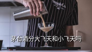 茅臺酒分大飛天和小飛天嗎