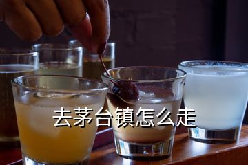 去茅臺(tái)鎮(zhèn)怎么走