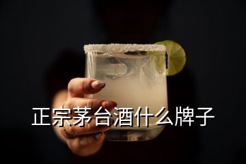 正宗茅臺(tái)酒什么牌子