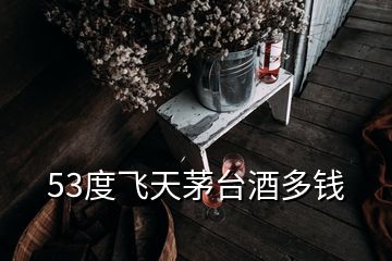 53度飛天茅臺酒多錢