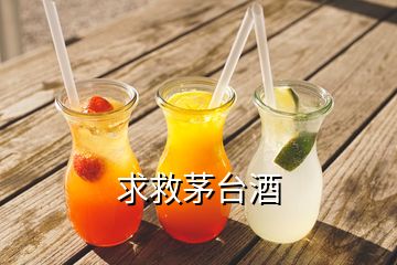 求救茅臺(tái)酒