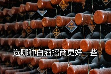 選哪種白酒招商更好一些