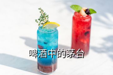 啤酒中的茅臺(tái)