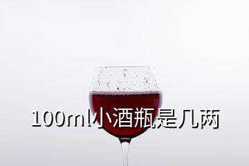 100ml小酒瓶是幾兩