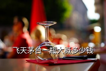 飛天茅臺一瓶大概多少錢