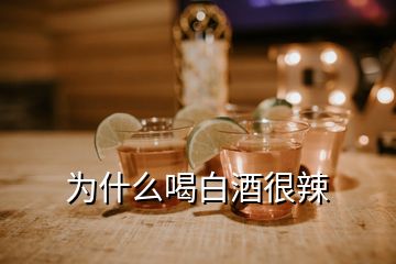 為什么喝白酒很辣