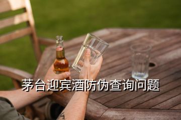 茅臺(tái)迎賓酒防偽查詢問題