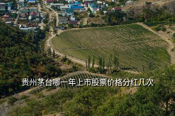 貴州茅臺哪一年上市股票價格分紅幾次