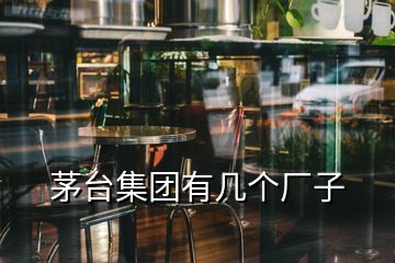 茅臺集團(tuán)有幾個廠子